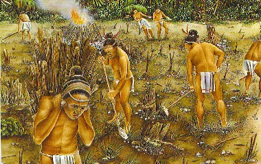 mayan farming